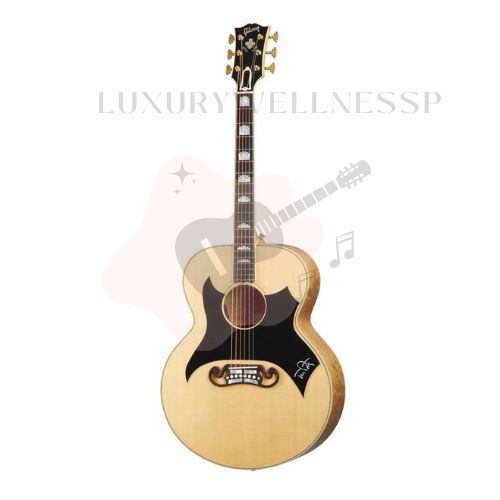 Guitar Takamine